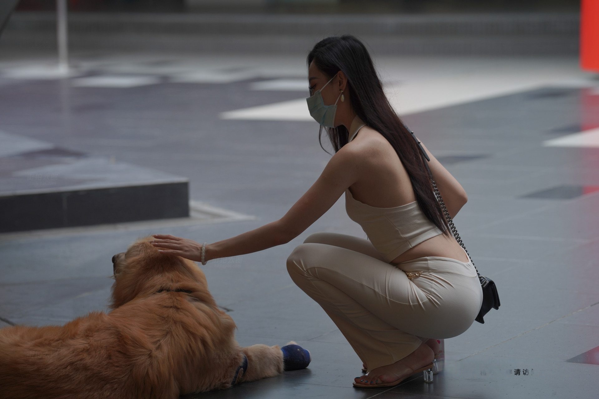 性感的白裤美女MJ3355