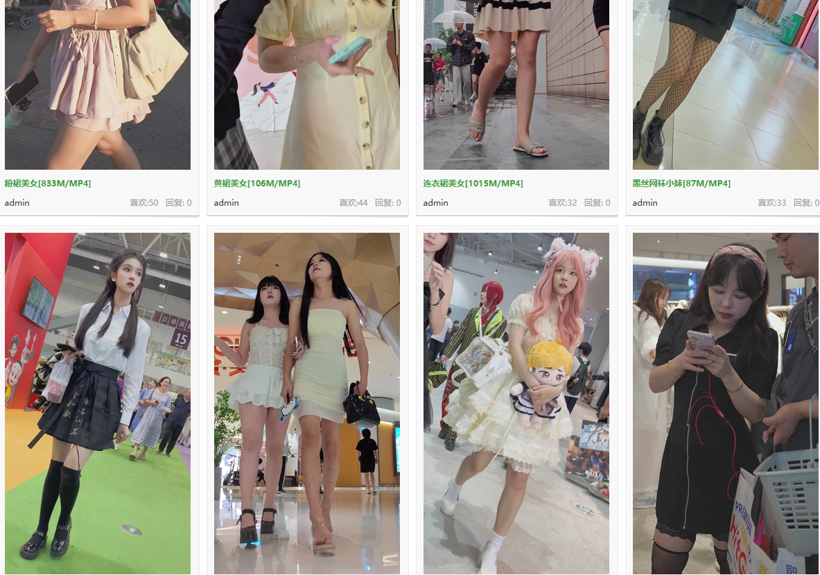 CD（80G）懂得都懂