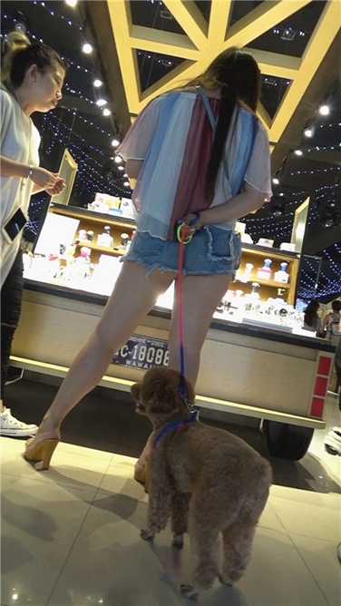 牵小狗的肥臀女孩[MP4/393MB]