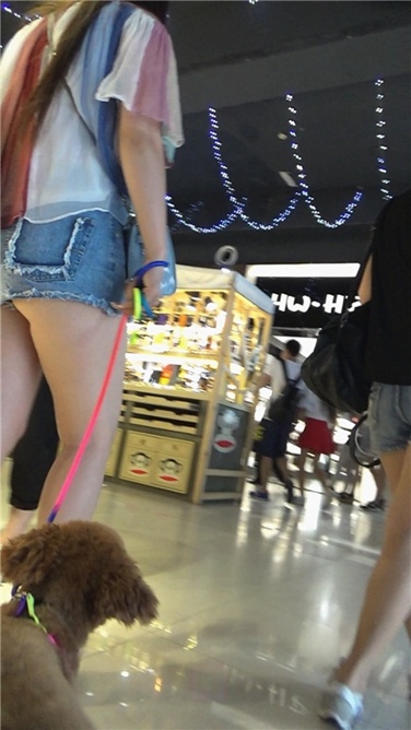 牵小狗的肥臀女孩[MP4/393MB]