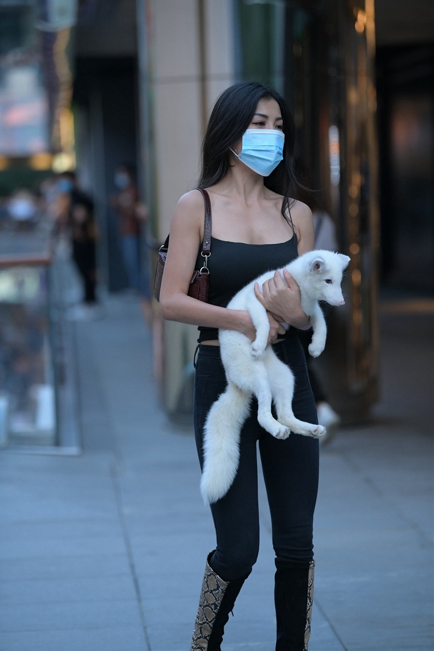 [套图85P]抱着白色小狐狸的黑牛美眉3A8231[2.41G]