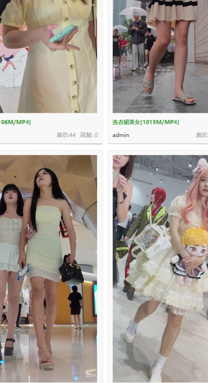 CD（80G）懂得都懂